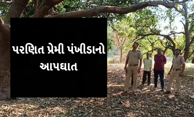 બે સંતાનના પિતાએ પરણિત પ્રેમિકા સાથે જીવન ટૂંકાવ્યું, વાડીમાંથી લટકતી મળી પ્રેમી પંખીડાની લાશ