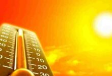 HOT WEATHER IN KUTCH : કચ્છમાં વરસી “અગનવર્ષા”, ભુજમાં પારો 42 ડિગ્રીએ પહોંચતા લોકો ત્રાહિમામ…