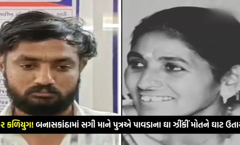 ઘોર કળિયુગ! બનાસકાંઠામાં સગી માને પુત્રએ પાવડાના ઘા ઝીંકીં મોતને ઘાટ ઉતારી, જાણો કાળજું કંપાવતી ઘટના