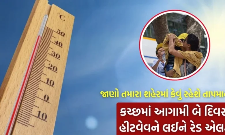 હવામાન વિભાગની આગાહી, આગામી 24 કલાક તાપમાનમાં ફેરફારની સંભાવના...