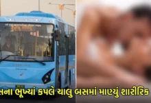 હવસના ભૂખ્યાં કપલે ચાલુ બસમાં માણ્યું શારીરિક સુખ, વિડીયો વાયરલ