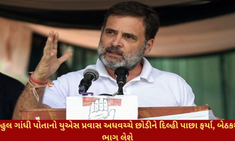 Pahalgam Terror Attack:રાહુલ ગાંધી પોતાનો યુએસ પ્રવાસ અધવચ્ચે છોડીને દિલ્હી પાછા ફર્યા, બેઠકમાં ભાગ લેશે 1 Pahalgam Terror Attack:રાહુલ ગાંધી પોતાનો યુએસ પ્રવાસ અધવચ્ચે છોડીને દિલ્હી પાછા ફર્યા, બેઠકમાં ભાગ લેશે