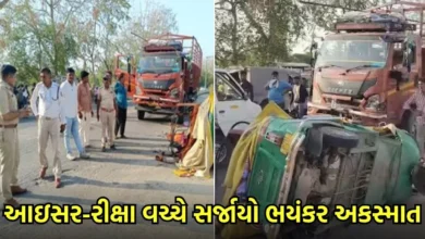 મહેસાણામાં આઇસર-રીક્ષા વચ્ચે સર્જાયો ભયંકર અકસ્માત, 4 લોકોના ઘટનાસ્થળે જ મોત