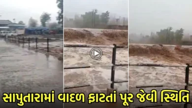 ઉનાળામાં ડાંગ જળબંબાકાર: સાપુતારામાં વાદળ ફાટતાં પૂર્ણા નદીમાં પૂર જેવી સ્થિતિ