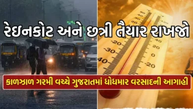 કાળઝાળ ગરમી વચ્ચે પરેશ ગોસ્વામીએ કરી ગુજરાતમાં ધોધમાર વરસાદની આગાહી
