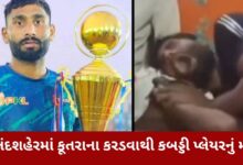 બુલંદશહેરમાં કૂતરાના કરડવાથી કબડ્ડી પ્લેયરનું મોત