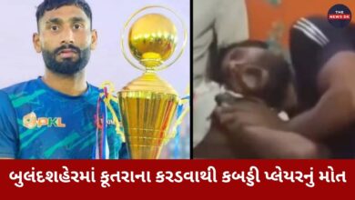 બુલંદશહેરમાં કૂતરાના કરડવાથી કબડ્ડી પ્લેયરનું મોત