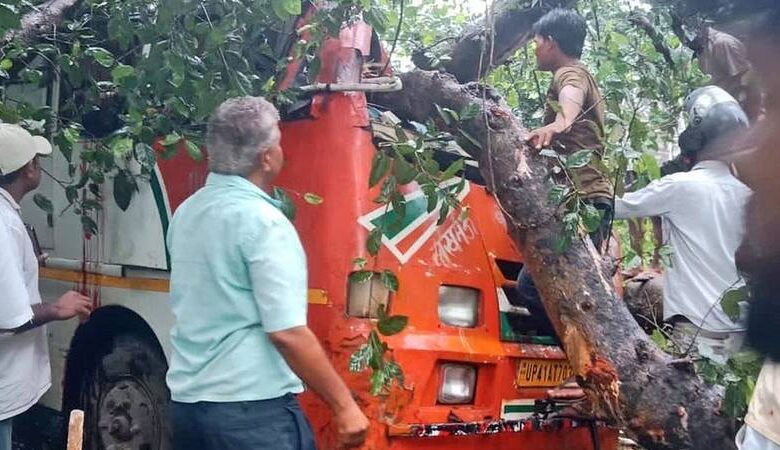 Barabanki Tree Fall On Bus: ચાલતી રોડવેઝ બસ પર પડ્યું ઝાડ, પાંચ લોકોના દુઃખદ મોત 1 thenewsdk.in