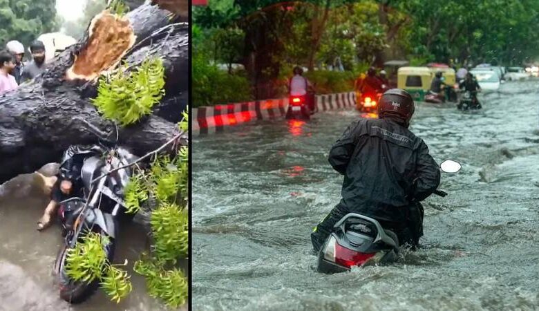 Delhi waterlogging : દિલ્હીમાં બાઇક સવાર પર ઝાડ પડવાથી મોત... પાણી ભરાવાથી ટ્રાફિક જામ 1 thenewsdk.in
