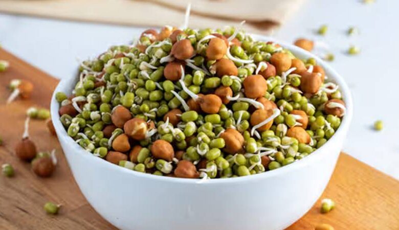 નાસ્તામાં આ 7 પ્રકારના સ્પ્રાઉટ્સનો સમાવેશ કરો, તમે આખો દિવસ એનર્જેટિક રહેશો 1 thenewsdk.in