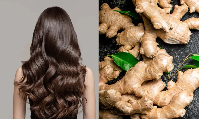 Ginger For Hair Growth : વાળના વિકાસ માટે આદુ કેટલું ફાયદાકારક છે? જાણો શું કહે છે સંશોધન 1 thenewsdk.in