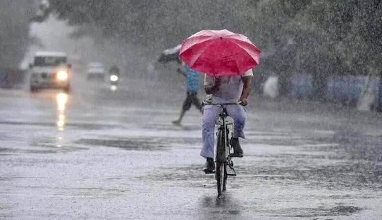 Gujarat Weather: રાજ્યમાં વરસાદનો રાઉન્ડ શરૂ થશે, 19 ઓગસ્ટ સુધી મેધમહેરની આગાહી 1 thenewsdk.in