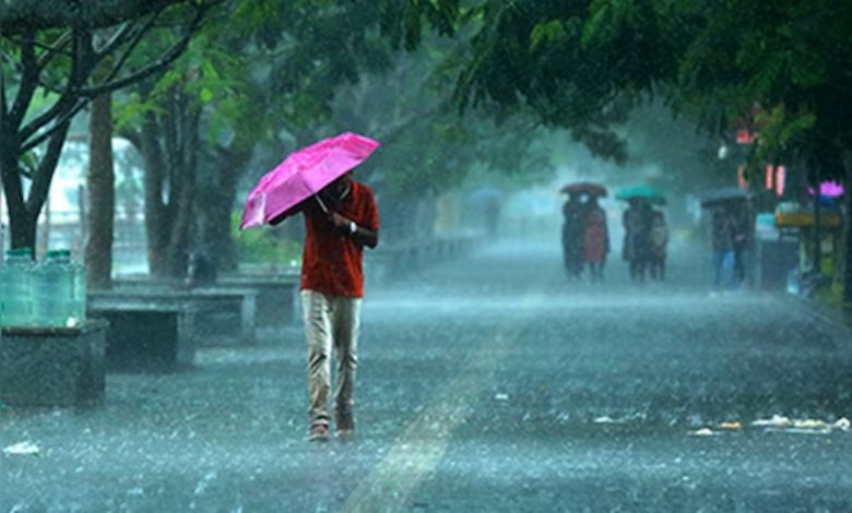 Gujarat : ગુજરાતમાં 225 તાલુકામાં વરસાદ નોંધાયો, આજે પણ સાર્વત્રિક ભારે વરસાદની આગાહી 1 thenewsdk.in