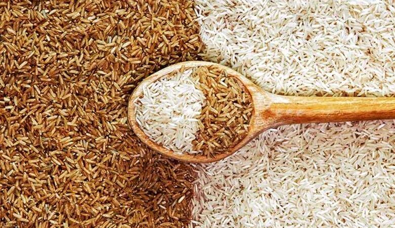 Brown rice vs Samak rice: બ્રાઉન કે સમક, કયા રાઈસ સ્વાસ્થ્ય માટે વધુ ફાયદાકારક છે? અહીં જાણો 1 thenewsdk.in
