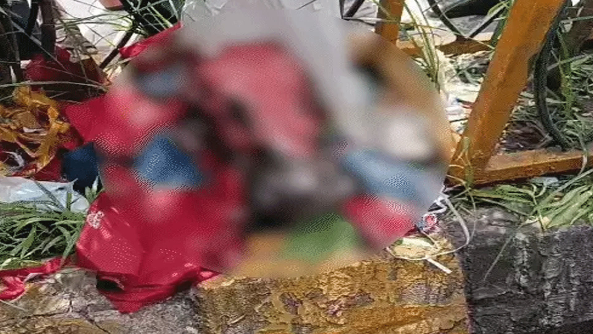 Ahmedabad News : રખિયાલમાં પશુનું માથું મળતા લોકોએ એકઠા થઈ ભારે હોબાળો મચાવ્યો 1 thenewsdk.in