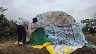 Mahesana Bhavnagarમાં વરસાદથી લાખોનું નુકસાન, ખેડૂતોને સાવચેતી રાખવા તંત્રની અપીલ! 1 thenewsdk.in