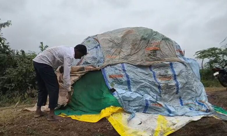 Mahesana Bhavnagarમાં વરસાદથી લાખોનું નુકસાન, ખેડૂતોને સાવચેતી રાખવા તંત્રની અપીલ! 1 thenewsdk.in