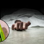 GSEB marksheet update : 2027થી માર્કશીટમાં થશે મોટો ફેરફાર, બારકોડ તથા ક્યુઆર કોડ સાથે મળશે પરિણામ 1 જમીનના લાલચે લોહીના સંબંધો લજવાયા: ગીર સોમનાથમાં બહેનની કરપીણ હત્યા