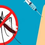 Cockroach Janta Party Parliament March : 2 કલાક બેસાડી, માત્ર 10 મિનિટ મુલાકાત! કેન્દ્રીય મંત્રી સાથે બેઠક બાદ CJP નેતાએ શું કહ્યું? 1 Dengue Vaccine Approved : ભારતમાં ડેન્ગ્યુની પ્રથમ વેક્સિનને મંજૂરી, 4થી 60 વર્ષના લોકો લઈ શકશે QDENGA