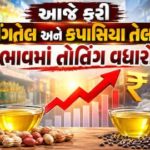 તહેવારો પહેલાં મોંઘવારીનો માર! સિંગતેલના ડબ્બાના ભાવ ₹3,000ને પાર જવાની સંભાવનાથી ગ્રાહકો ચિંતામાં