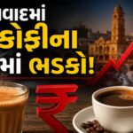 ચૈતર વસાવાને મોટો ઝટકો! ગુજરાત હાઈકોર્ટે જામીન ફગાવ્યા, કહ્યું- ‘અગાઉ શરતી જામીન છતાં ફરી ગુનામાં સંડોવાયા’ 2 ખાંડ મોંઘી તો ચા પણ મોંઘી! અમદાવાદમાં અડધી ચા હવે ₹15માં, કોફીના ભાવમાં પણ ₹5નો વધારો
