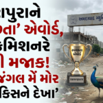 ODI World Cup 2027 : રોહિત-કોહલી 2027 વર્લ્ડકપ રમશે કે નહીં? આશિષ નેહરાના નિવેદને વધારી સસ્પેન્સ 2 નારણપુરાને સ્વચ્છતા એવોર્ડ, પણ મ્યુનિ. કમિશનરે જ ઉડાવી મજાક! કહ્યું- ‘જંગલ મેં મોર નાચા, કિસને દેખા’