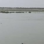 Bihar Boat Accident : બિહારના વૈશાલીમાં મોતનો તાંડવ! હોડી પલટતાં 11નાં મોત, ગુમ થયેલા લોકોની શોધખોળ શરૂ